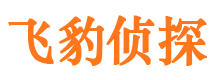 滨城市婚姻出轨调查